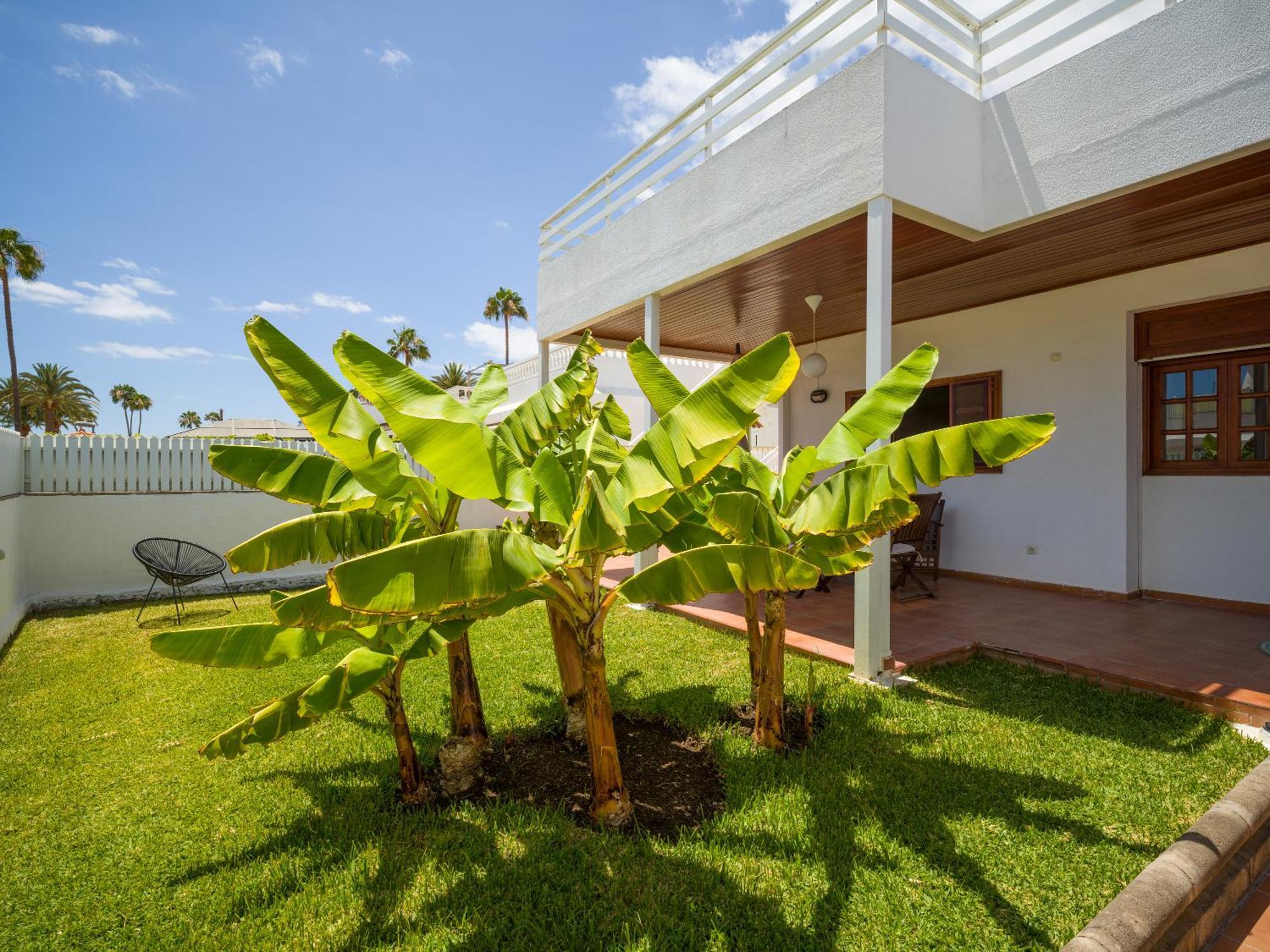 Banana House In Top Location By Tenpropertiesgc Maspalomas  Eksteriør bilde