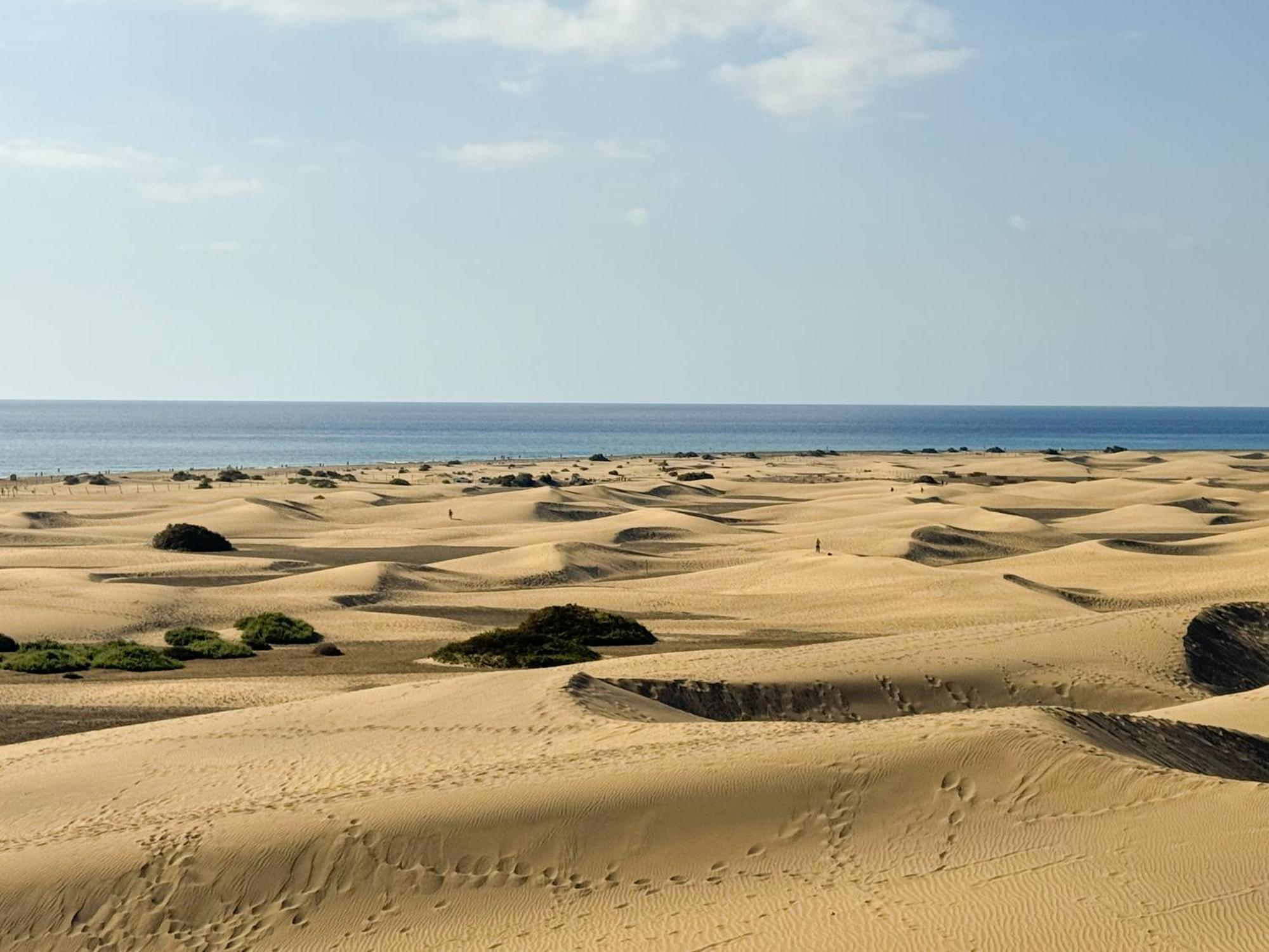 Banana House In Top Location By Tenpropertiesgc Maspalomas  Eksteriør bilde